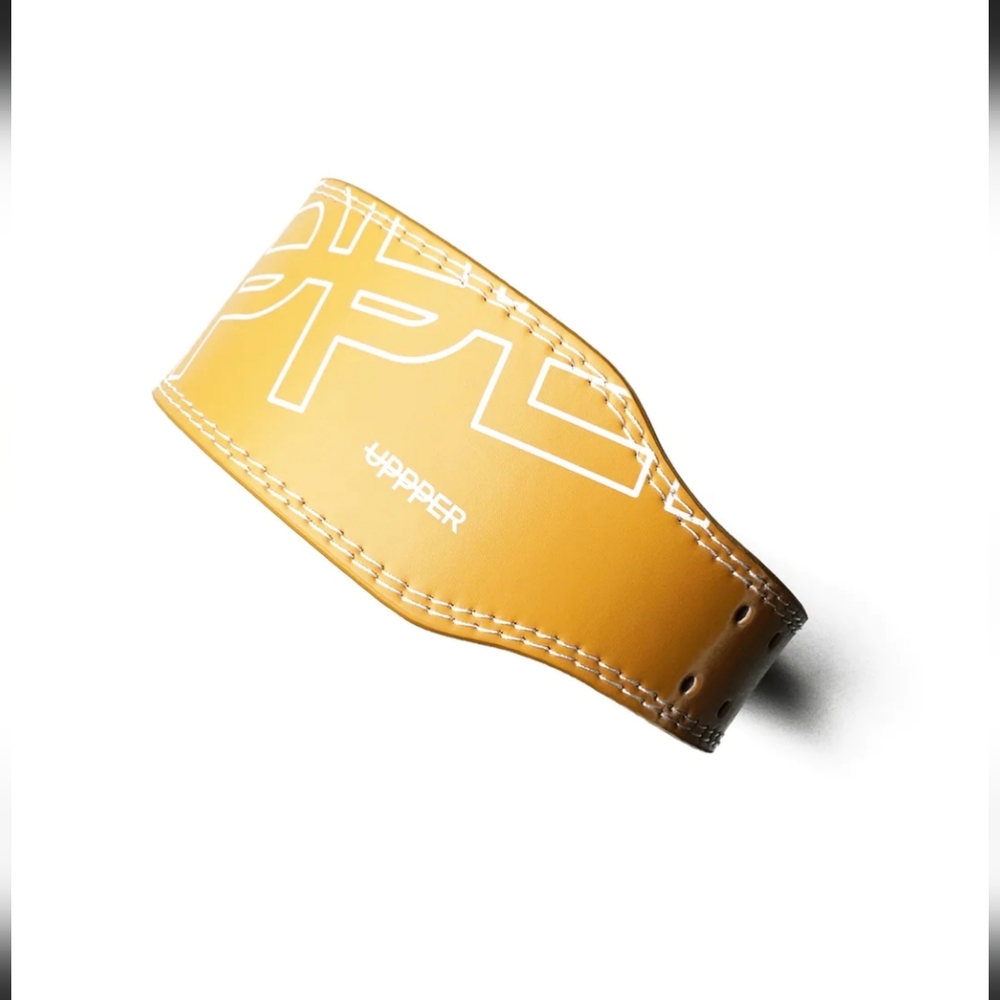 Uppper gear lifting belt